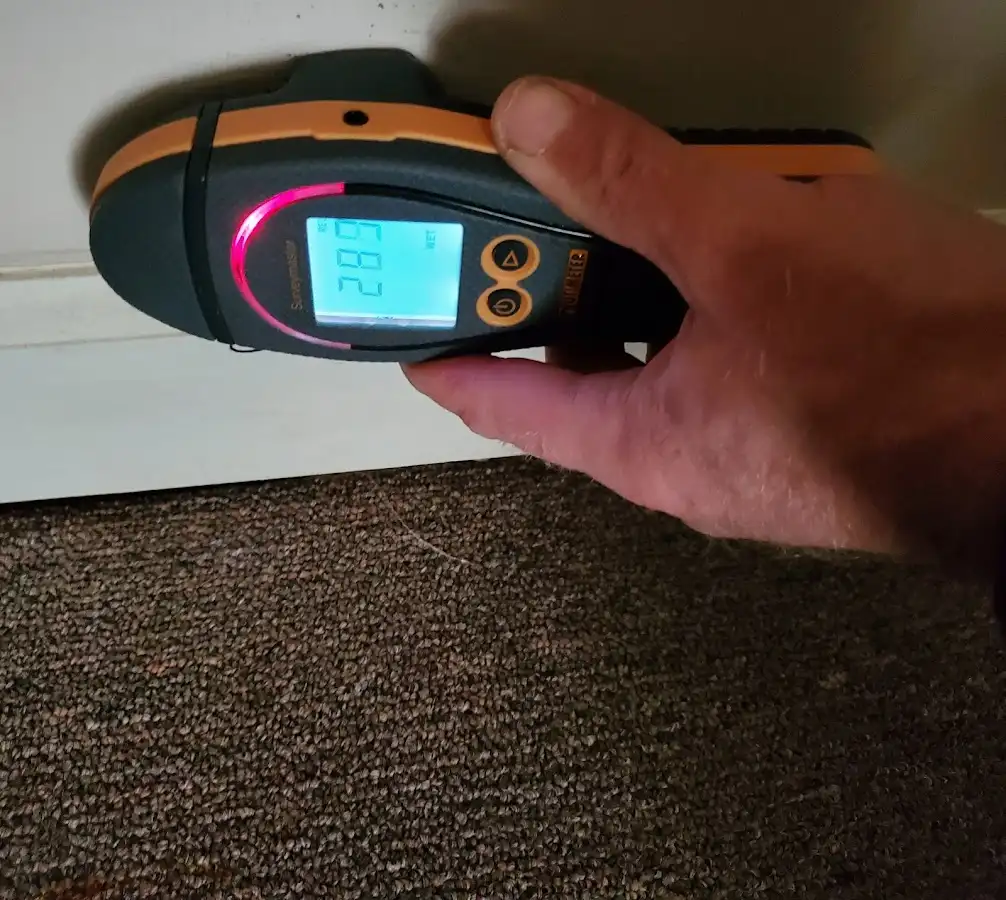 Moisture detection at baseboard during Mold Inspection & Testing in Cornelius